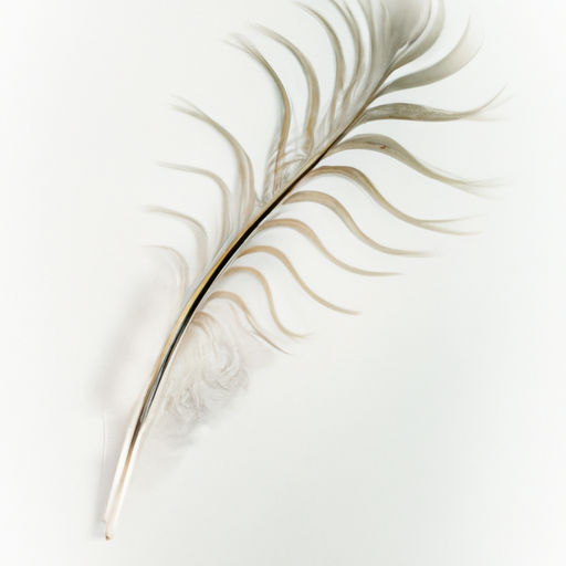 먹튀검증 먹튀검증