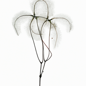 안전하고 신뢰할 수 있는 토토사이트 선택 가이드: 승리의 첫걸음!